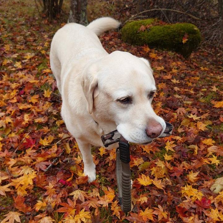 67fb48de 3ae3 4405 be96 53dce5af9c2f 1731033218946