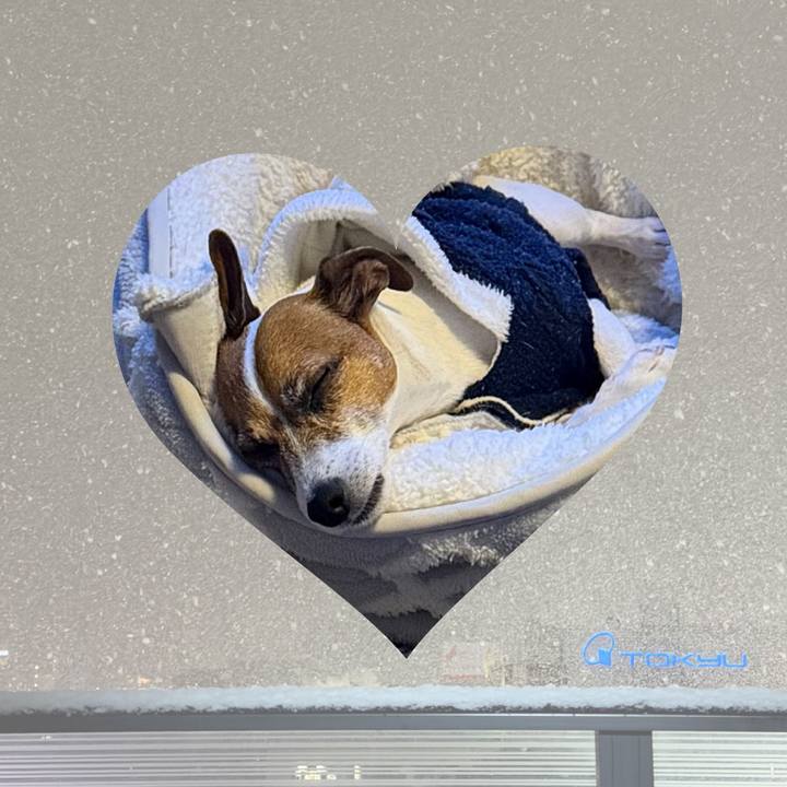 67fc1e4d 25b2 4437 9c95 fdd51a6af2ec 1768134162333