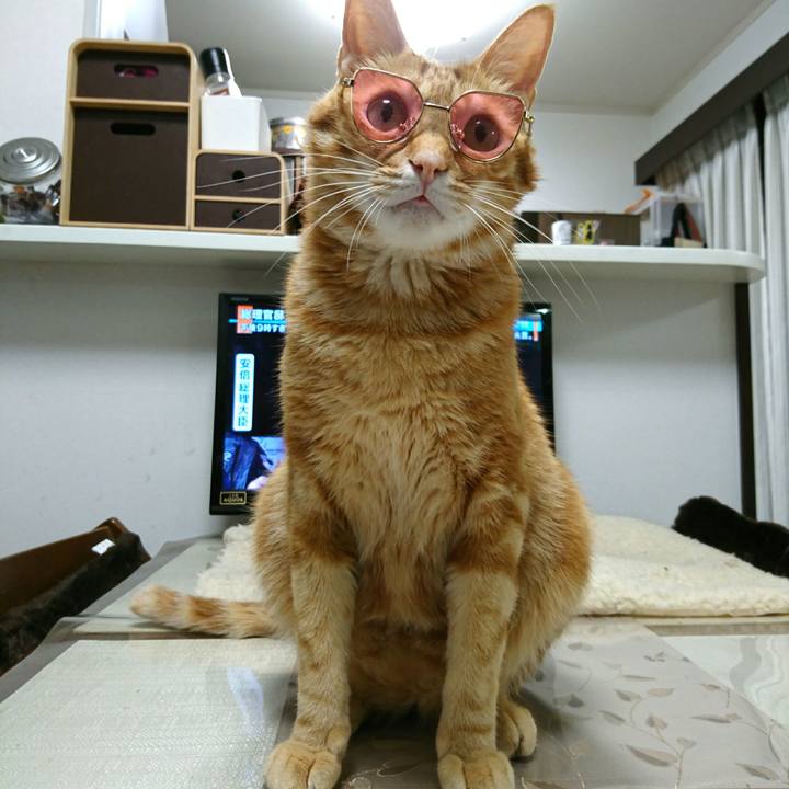 67fc2869 ded6 4a74 8489 75ccab2126f8 1557061570231