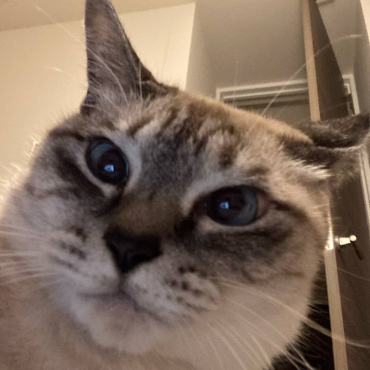 67fc5be4 36b7 482d 9ca4 bac27c19bd3c 1636281279753