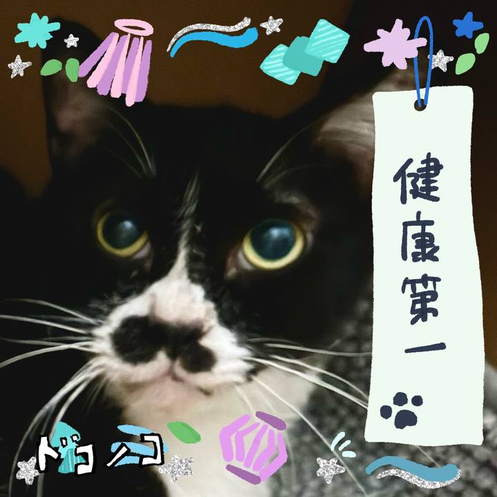 67fc71d3 9f84 4792 a115 750d3a884092 1720774018468