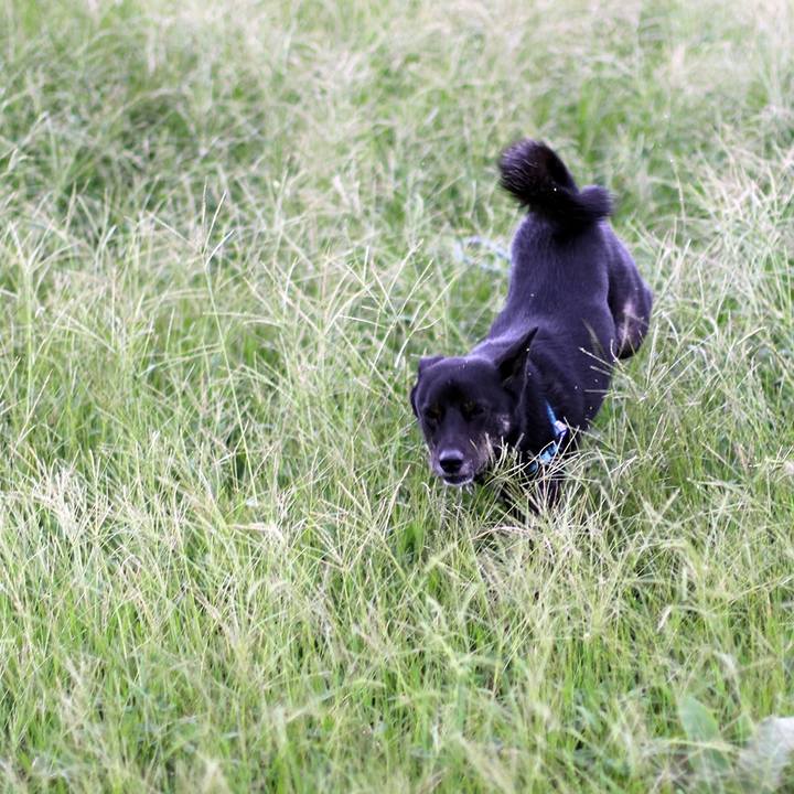 67fc9d6d 5ab2 4c4e a80b 4115d96f9930 1552367832714