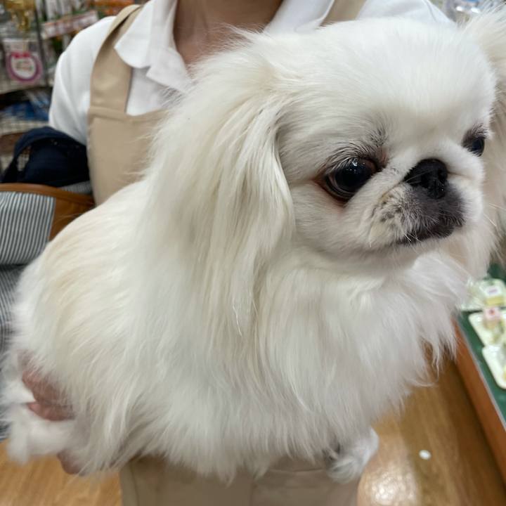 67fcbb33 eb66 4eac 804b edcc43d2c753 1651737686783