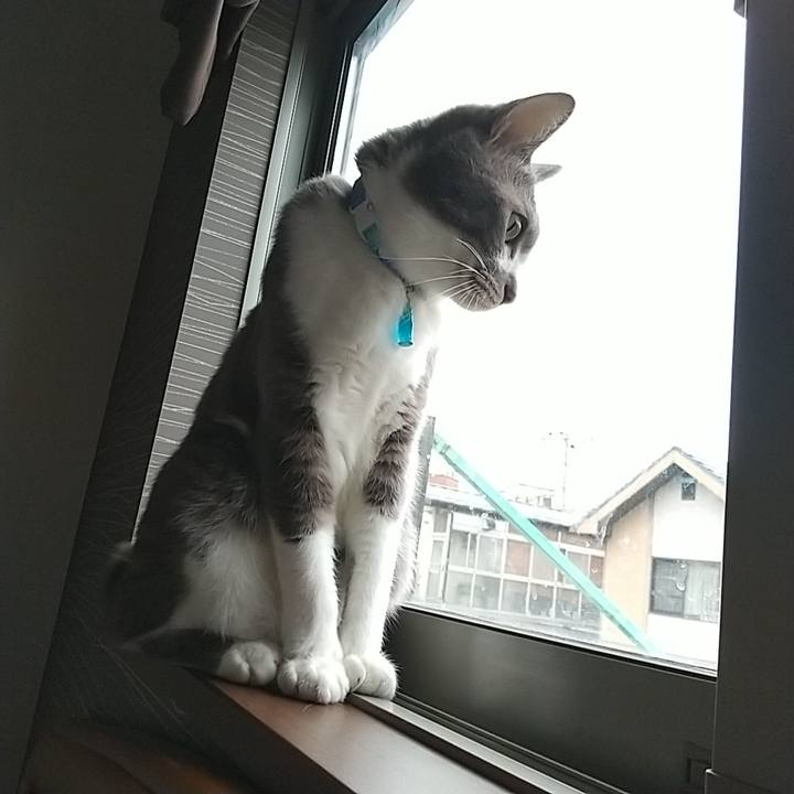 67fcf2c2 a90b 4755 9fff 4e521541a53c 1618352492959