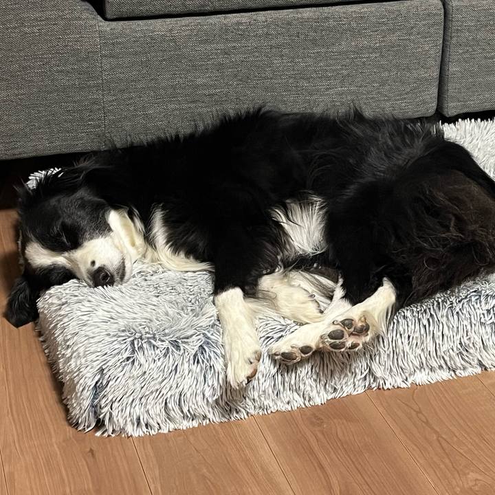 67fd0c83 cfa0 463a bb73 327ae34aef19 1769638937332