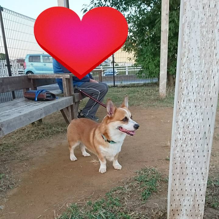 67fd2777 3b96 4c83 a304 f595e1dfa0c2 1602592428188