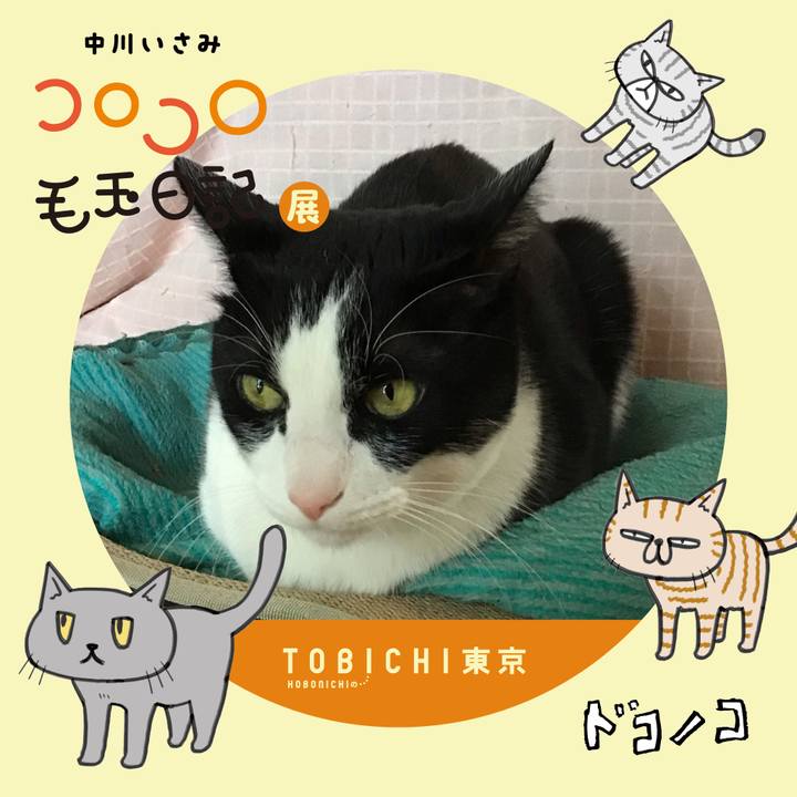 67fd56bc b2f8 46d1 8c94 f798f62eb4fe 1740288908061