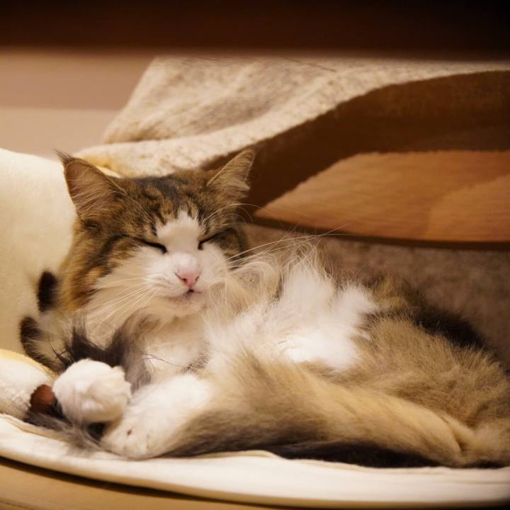 67fd592e 15d8 4ac4 8f4d cbad397462c2 1607005403550