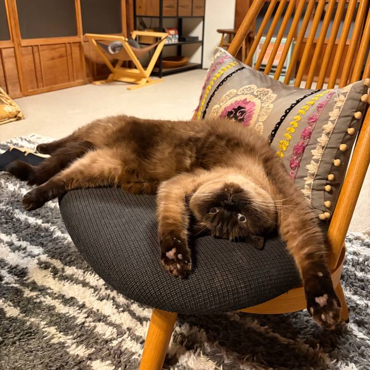 67fd84cf 0325 46d1 b43c b5d0a977ee7c 1768213337549