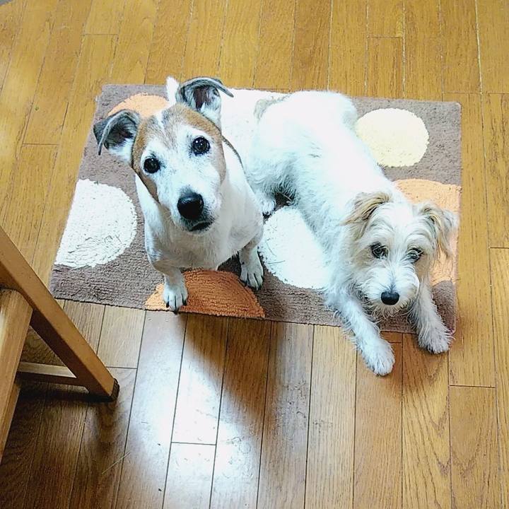 67fd99d7 0b0e 4cdf 88c4 5b1dff1c09ad 1569024167453