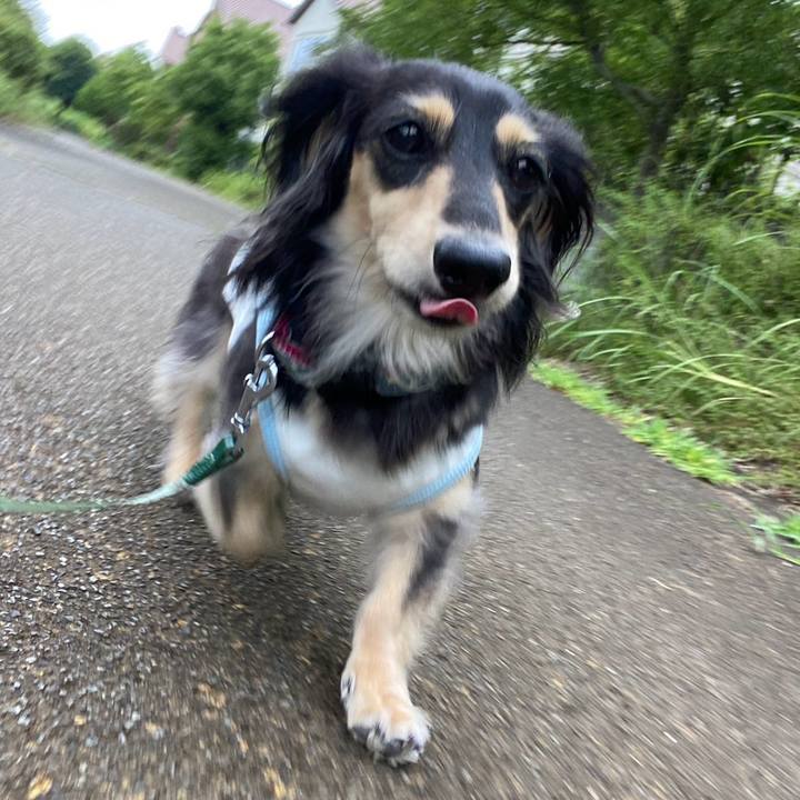 67fda201 2148 4ba1 83e3 27a6d84ff79b 1754785605901