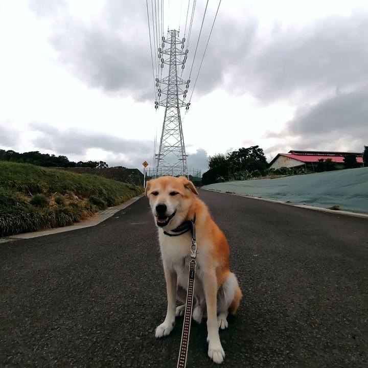 67fdcd11 2da9 4563 9223 923eb59d5e56 1600331734014