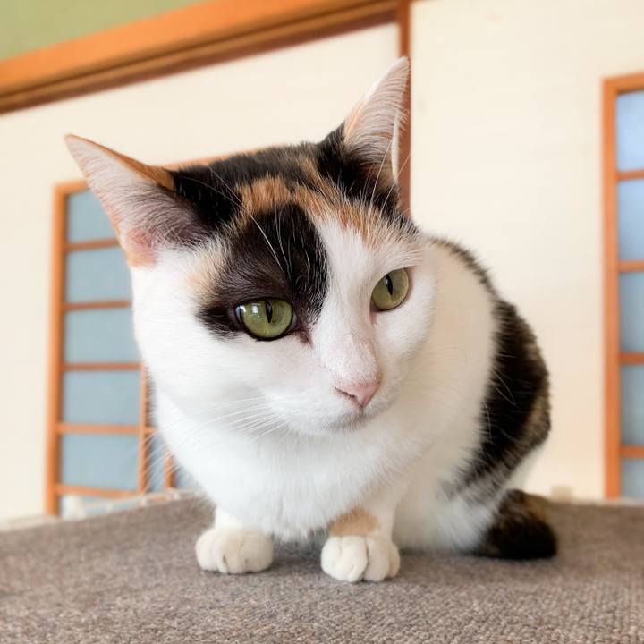 67fddce0 e8fa 45be 91e7 3bb4d587e260 1581473017714