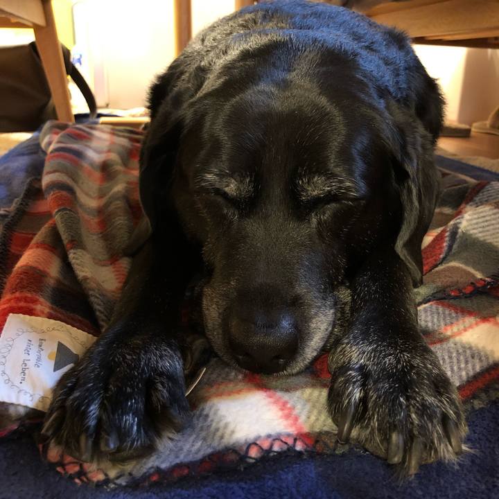 67fde7eb aff5 42c6 94a1 7cd5c5ee3d0f 1606952727701