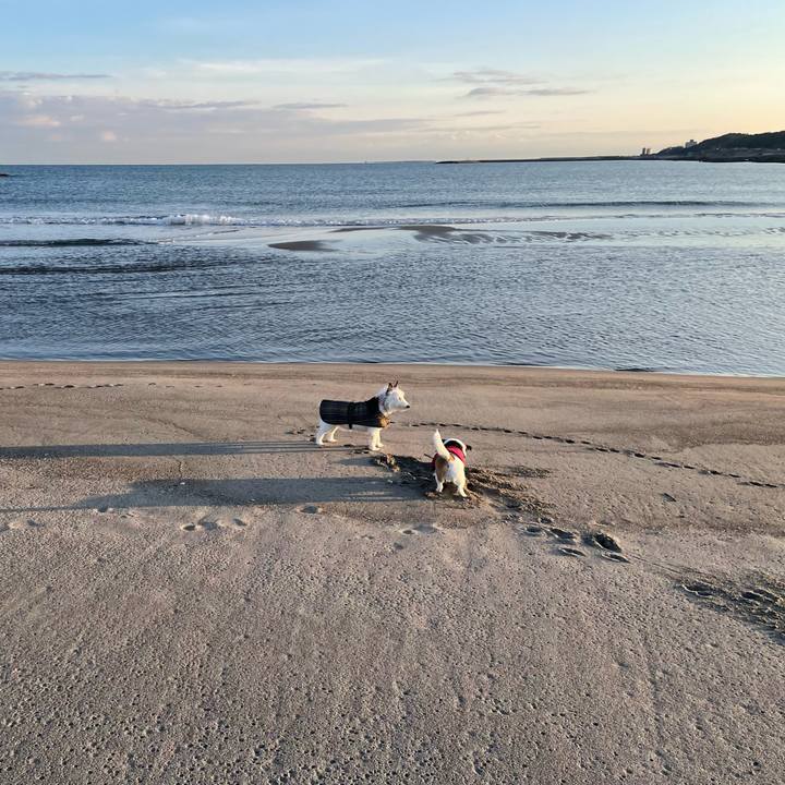 67fdf2b8 80a2 4977 a3c8 f6f2b84ca59b 1706657118953