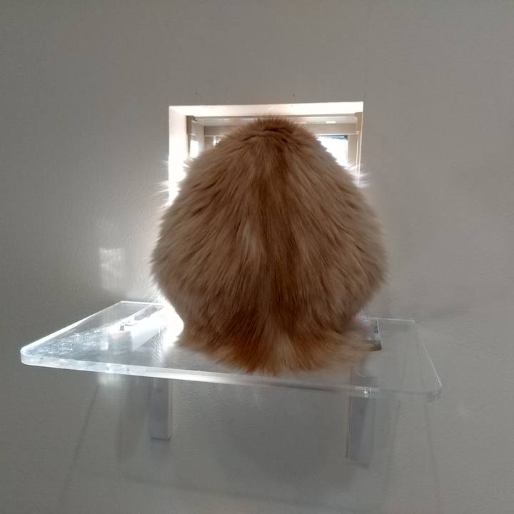 67fe0111 6979 4855 bfd9 38f8861a38bb 1644970299840