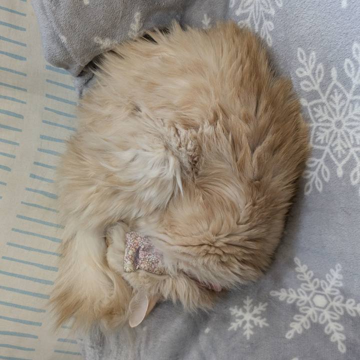 67fe0c3b 16fc 452a 9923 cc88a735fb12 1769825792615