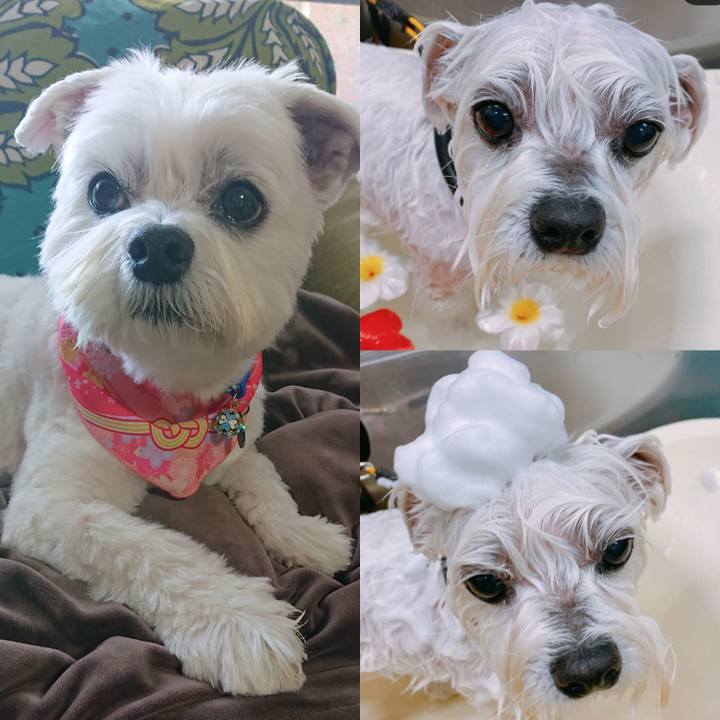 67fe1a98 29c2 4d77 8c37 1e0f18d70dfb 1672829181851