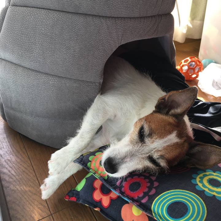 67fe3fe2 9dca 45dd bc3a 12b0af33a2a7 1574134389430