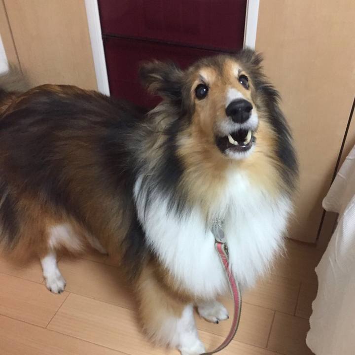 67fe45cd cc8b 40b5 a27f d10eb19350ec 1512834040935