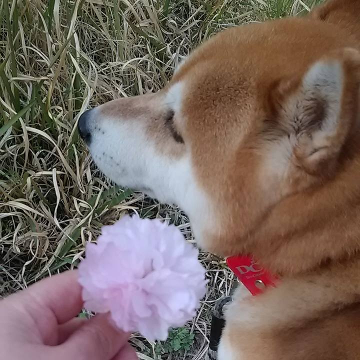 67fe472e b2f3 4e74 bd02 4b6f1d0042e7 1650270802416