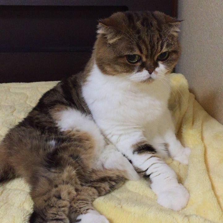 67fe64f6 fc76 4a9b 8533 4f59a488d91e 1510227436130