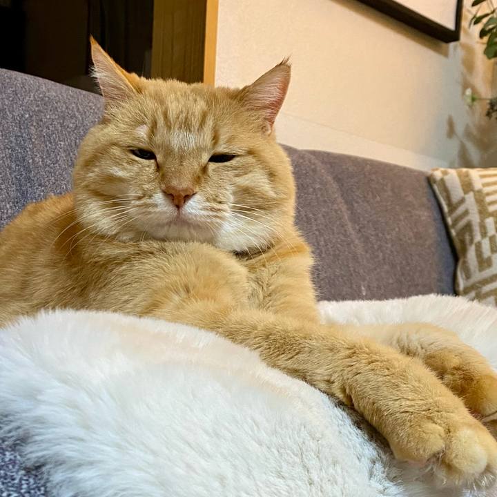 67fe6701 9bff 4612 b165 ed5aa531cd7b 1766392959795