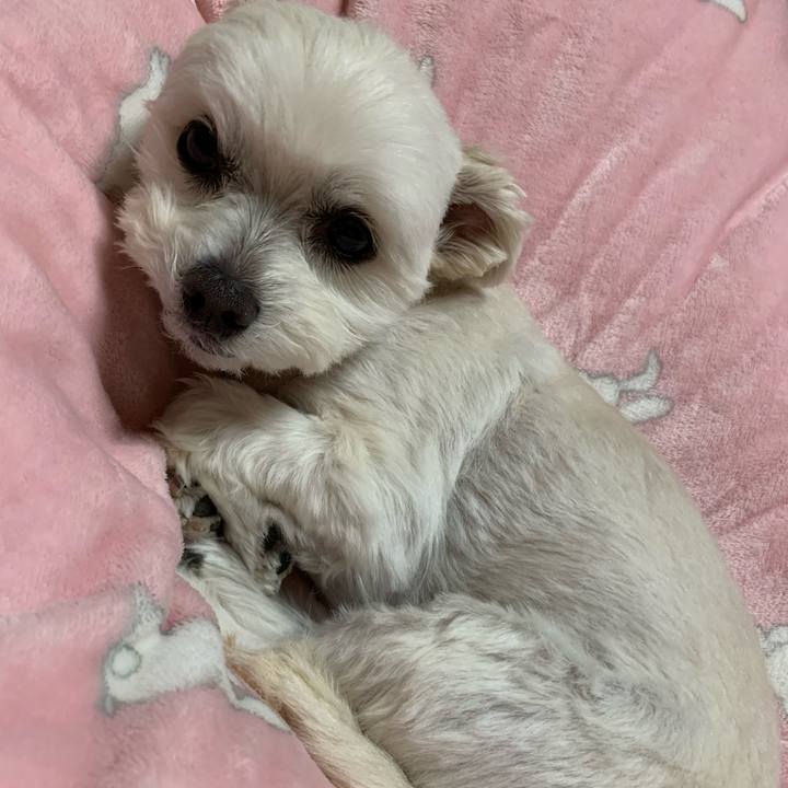 67fe72c5 c61e 4883 9ce3 dbb8a685424e 1613301605627