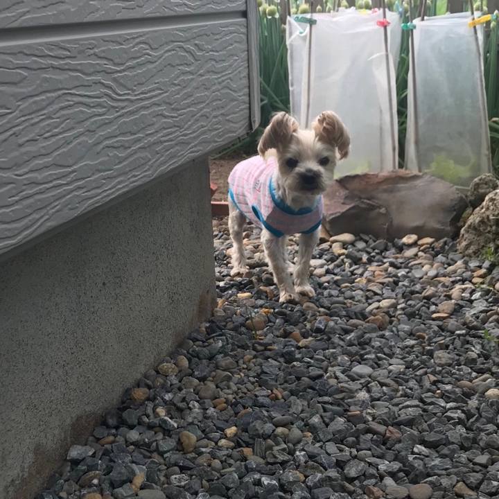 67fea2a4 8f74 43f7 a65a 1a9afc62a88d 1559211036071