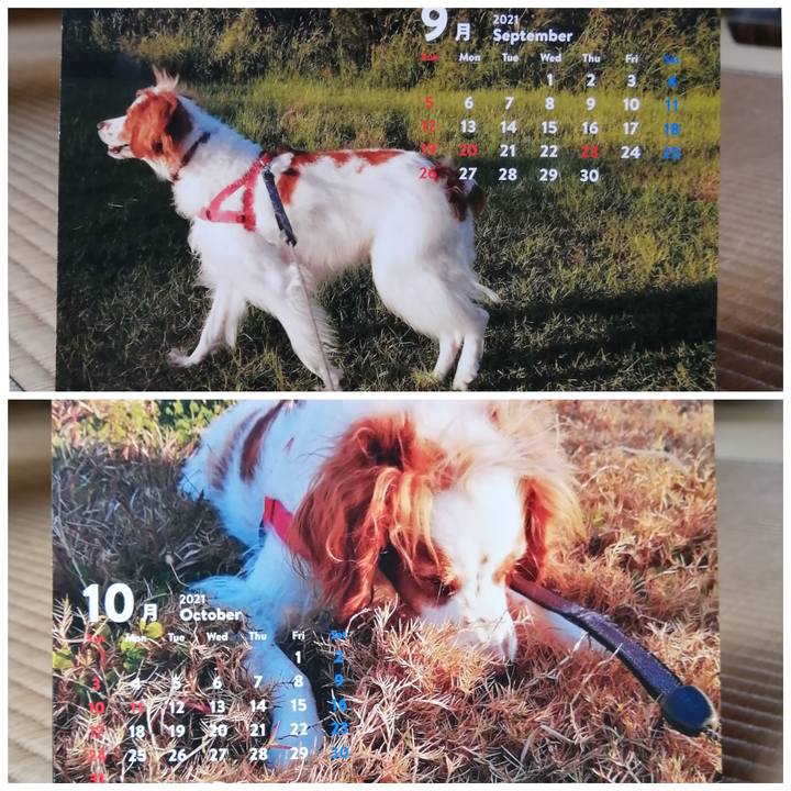 67fee717 5d08 4c18 b99e ab92d0945f34 1633066771789