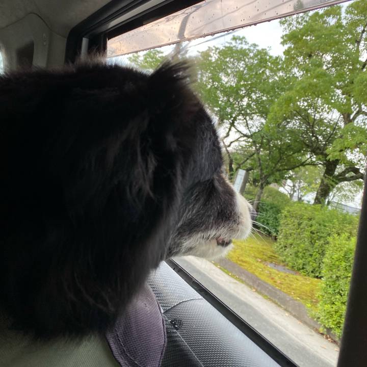 67feeeb1 08b5 4007 8406 b3da46c096b5 1688681223294