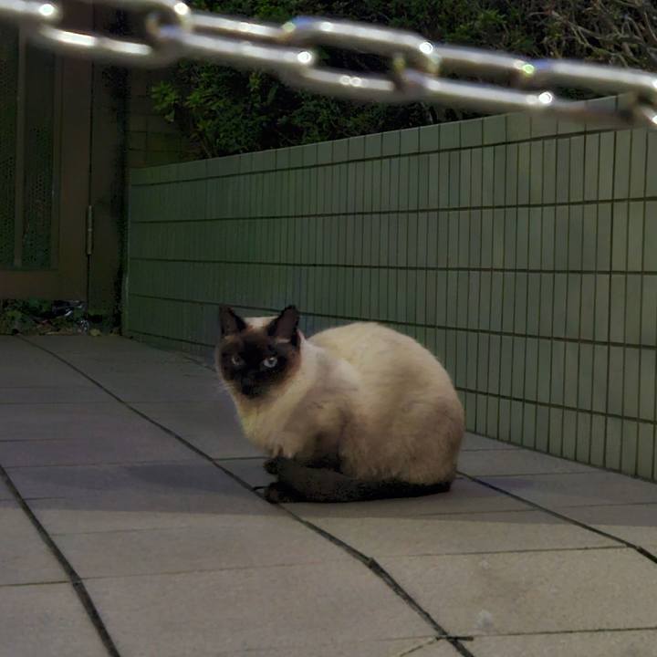 67ff518e 7240 462b 9588 291600b2bf71 1701142886064