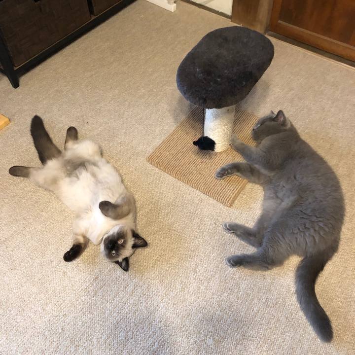 67ff5a7f 408f 4330 8693 d5ae7563aa63 1591490893241