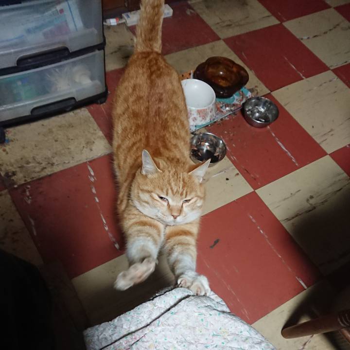 67ff8907 1f19 493c aeb5 f5da7e565978 1582746625319