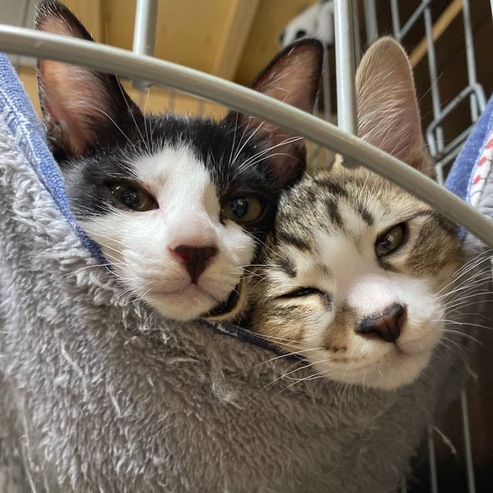 680016ab cc8f 484b 879e 83e2c92e4be8 1627028338874