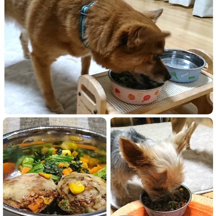 680018d3 b663 455b b558 16e215ae05bb 1545475011267