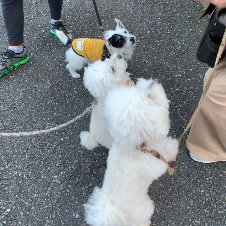 680032ea 9048 4aa0 9351 817244e6511c 1737186224296