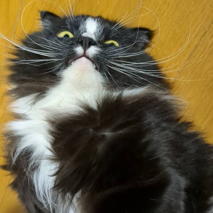 68004a16 b6b7 44d8 a08e 58526ac9437b 1684058788214