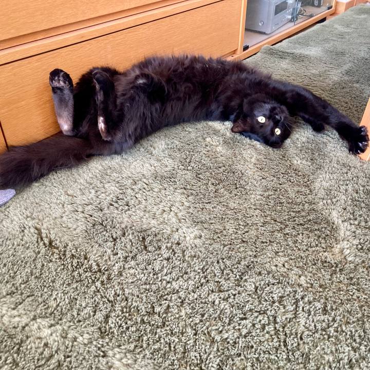 680050b9 b64b 44bb a2ac f58a1711f99b 1741597798735