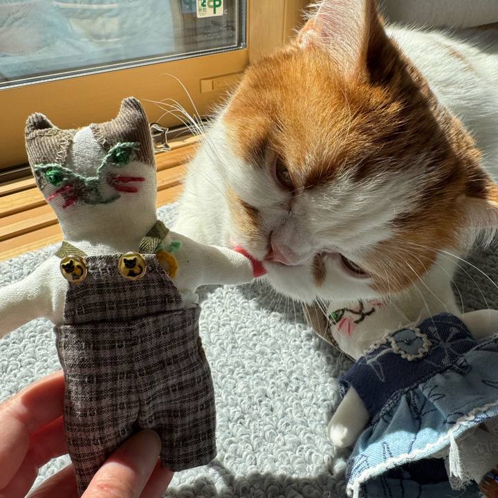 68006b6f c8df 409e ba19 52740ec03d1e 1773028315117