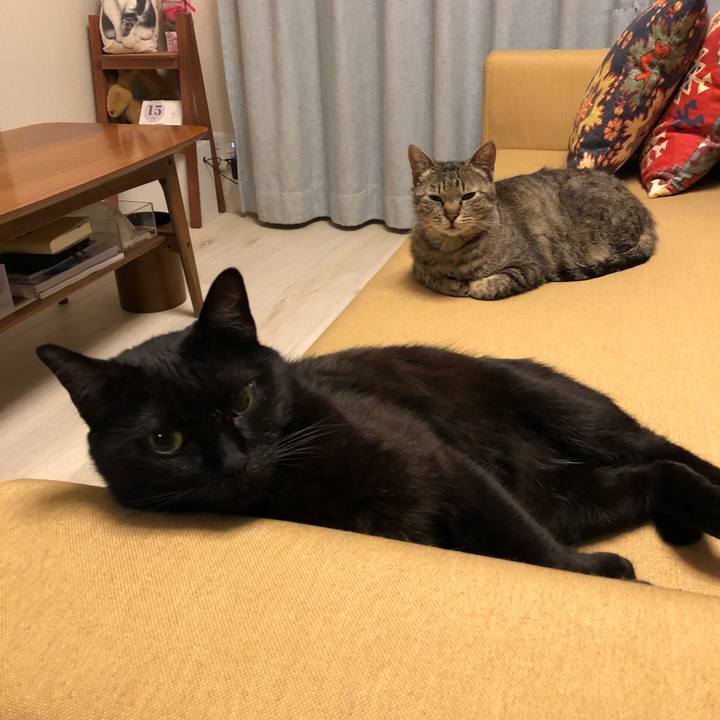 680074c8 c328 407d 9657 1f429bc27bd4 1523811687908