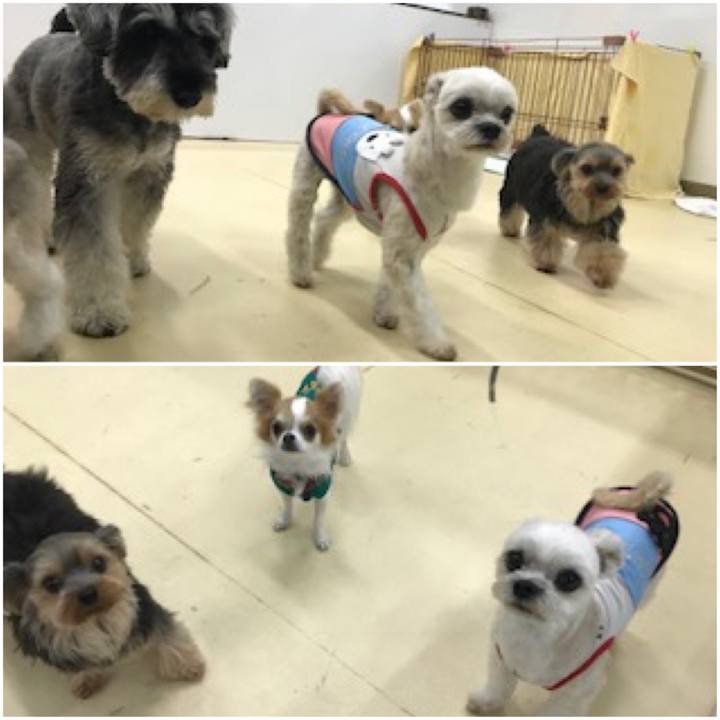 68007510 bf43 4045 9359 16afb40c92e4 1573122110125