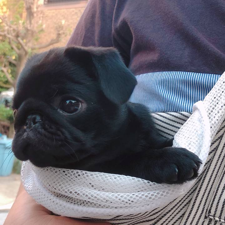 6800d693 61ef 4055 8972 a981b1ab4487 1588409244073