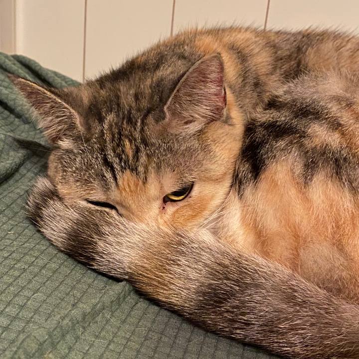 6800db2b 38f5 4405 a559 ac32d0bbe539 1578843927110