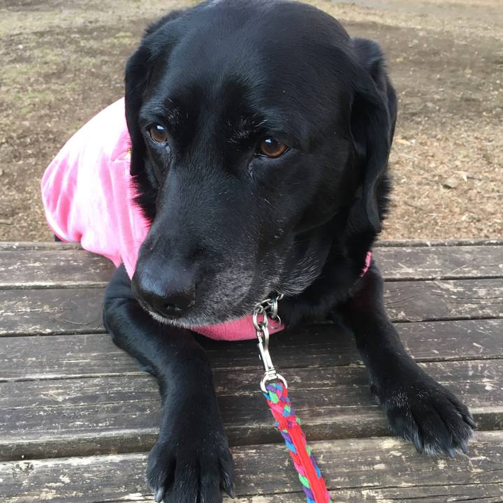 6800ee07 f3d4 41cf 94d4 d7facd488b8e 1518592680348