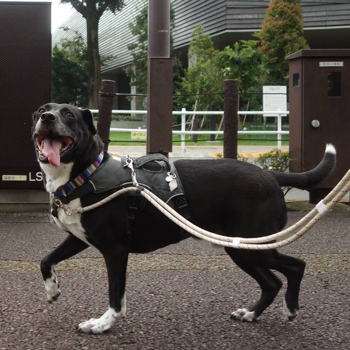 6800fe47 d3d3 4e73 9fde 17dc962580f3 1662685800921