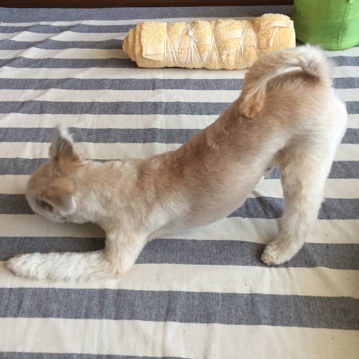 68010c00 3ff1 422b b9f8 bb74d0f7058c 1564132264975