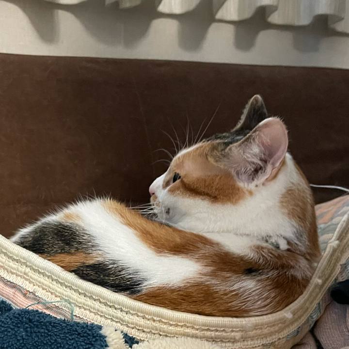 68012af8 2414 4f14 9ad1 fe59421ad971 1634458009368