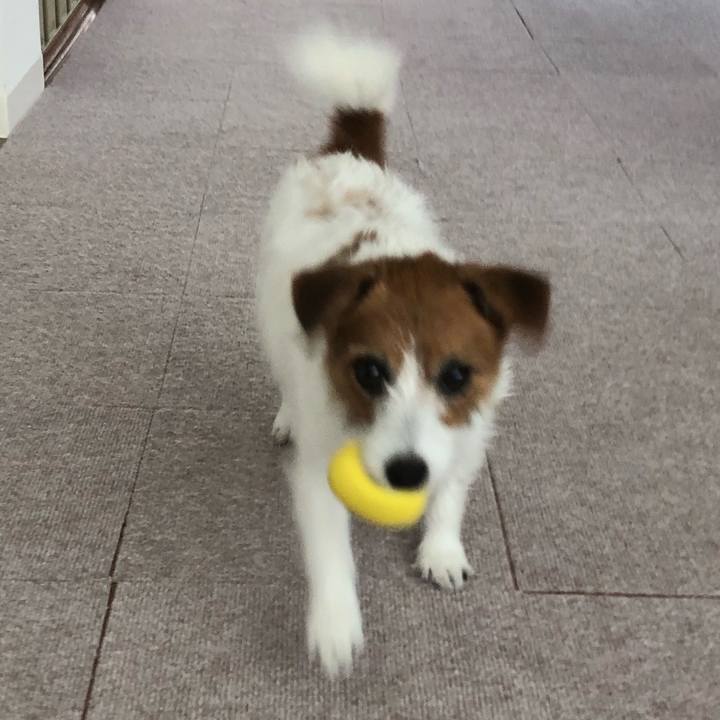 68012ea1 96c8 49c9 9cc6 28302cbd8de7 1594528454060