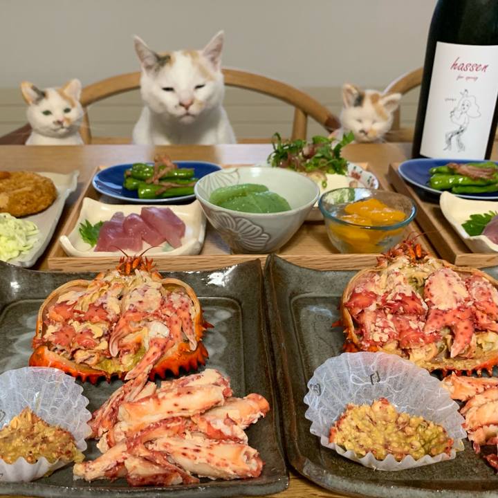 6801561f 5909 4b67 857b 42e1cbe1c58e 1618149634628